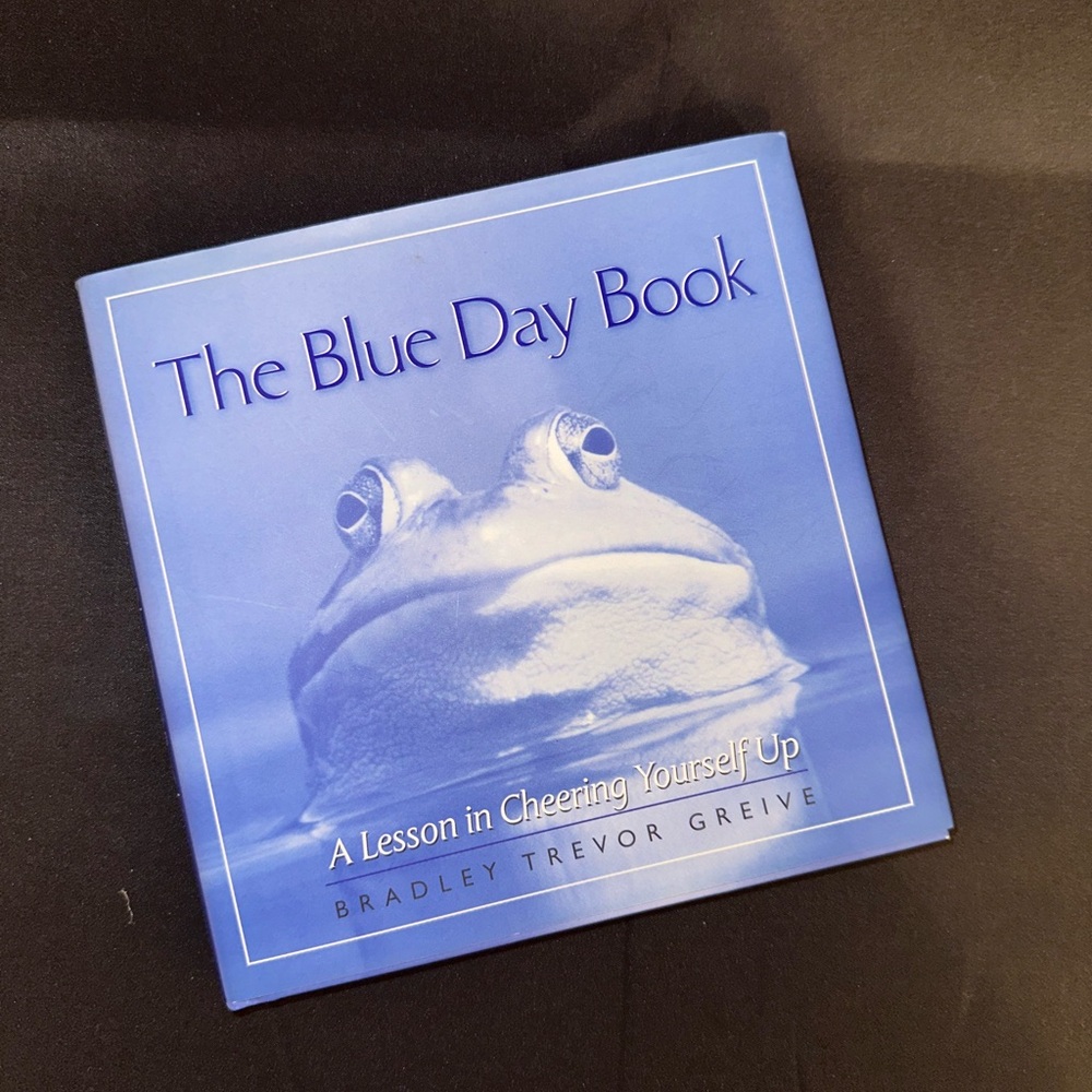 The Blue Day Book - A Lesson in Cheering Yourself Up